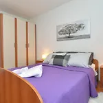 Violete 742