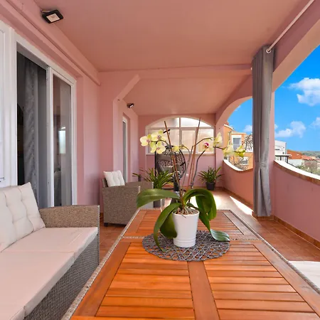 Violete 742 بولا